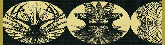 Morality Cause: North