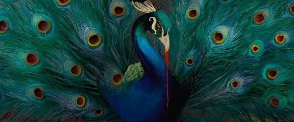 Opeth-SorceressSlider