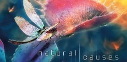 Review – Audiotopsy: Natural Causes