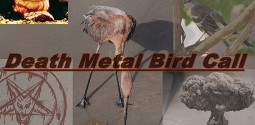 News – Avian Crossover Act Death Metal Bird Song Writing Debut Album